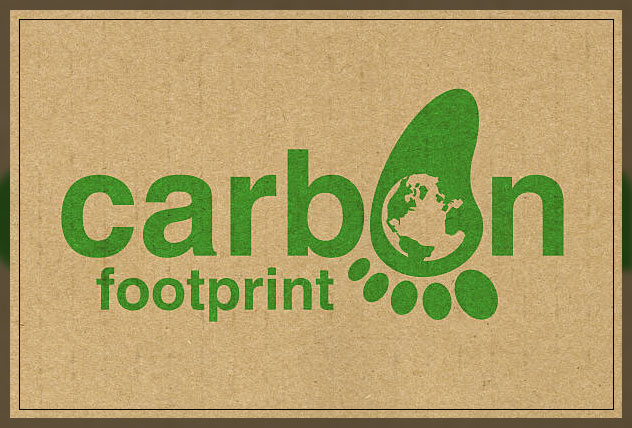 Carbon foot print 2
