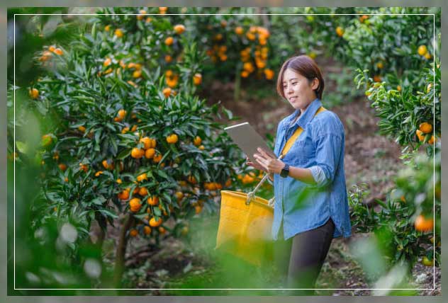 Smart monitoring system 1