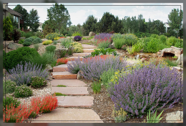 xeriscape landscaping advantages