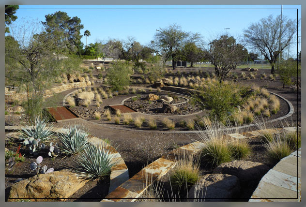 xeriscape landscaping ideas