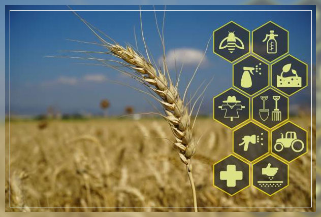 Artificial Intelligence 2