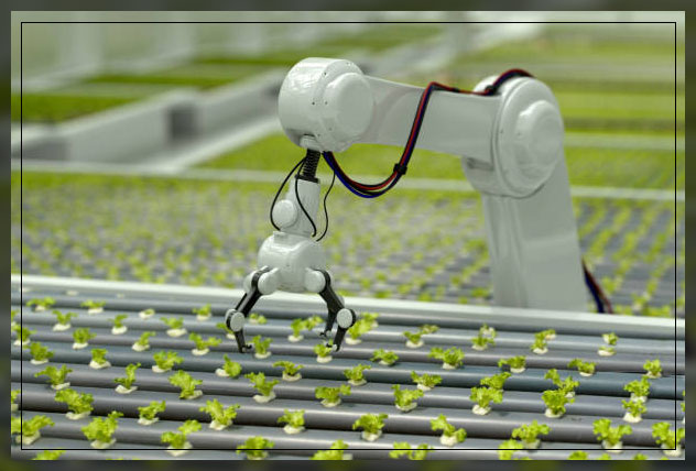 Artificial Intelligence 4