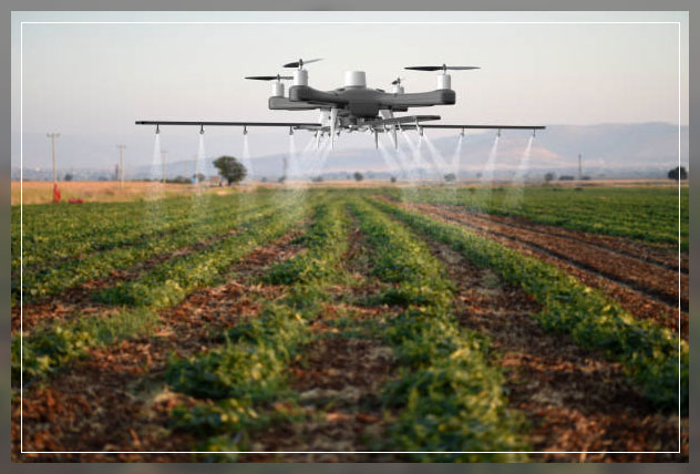 Artificial Intelligence 5