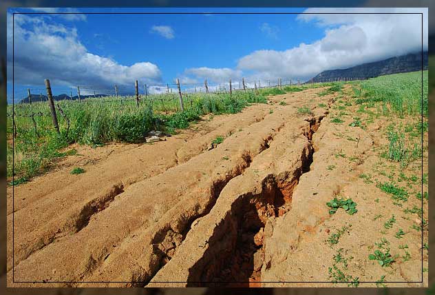Causes of soil erosion 1