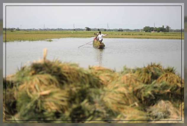 Causes of soil erosion 4