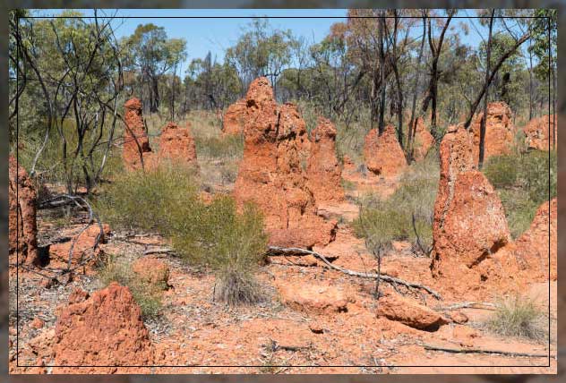 Causes of soil erosion 6