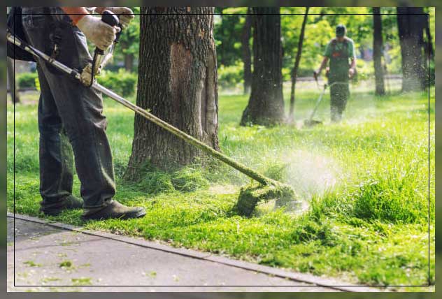 garden maintenance tips