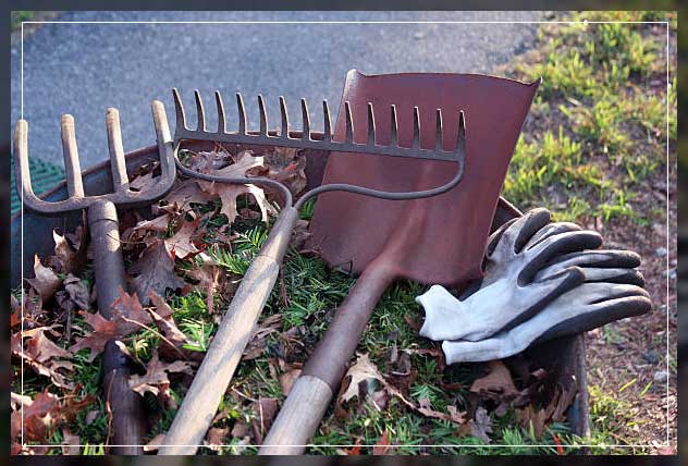 end of season clearance