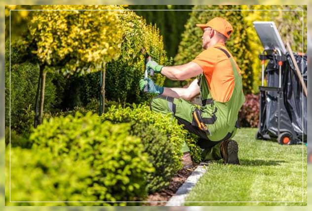 daily garden maintenance