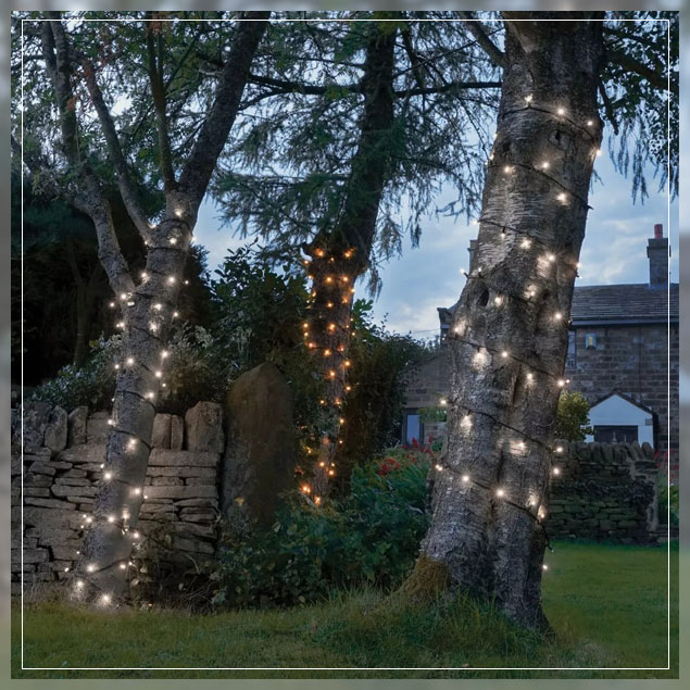 outdoor light or tree trunks