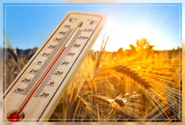 Heat wave 7