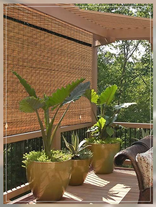 watering and containers
