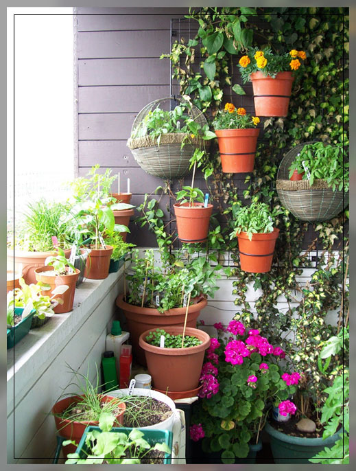 sunlight considerations