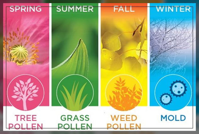 which seasons pollen happens?