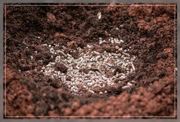 aging and composting poultry litter