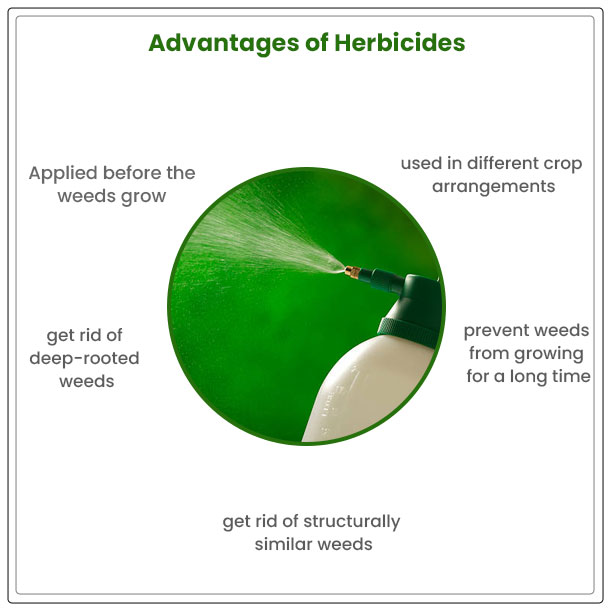 advantages of herbicides