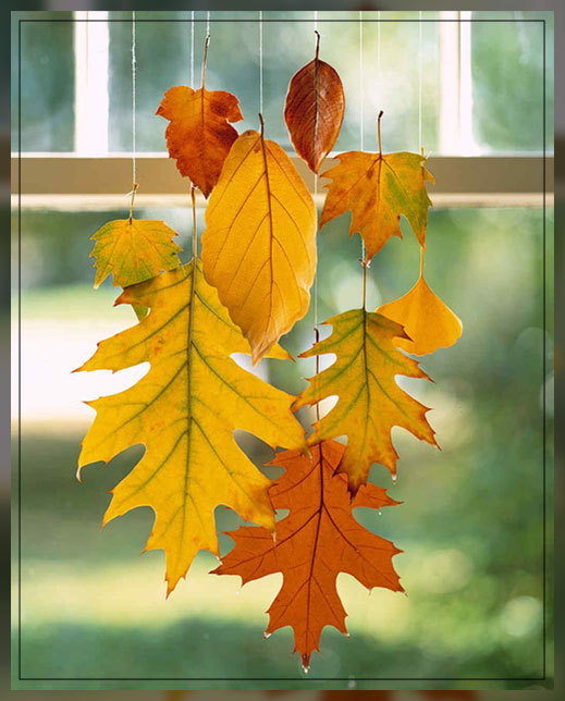 hanging dry fall leaves