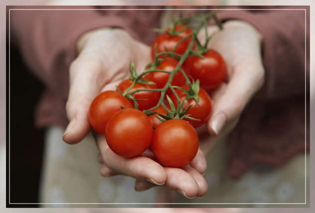 red tomato