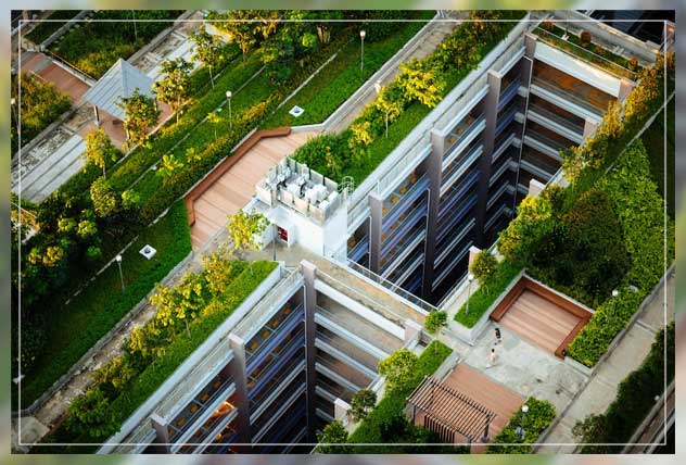 rooftop garden advantages