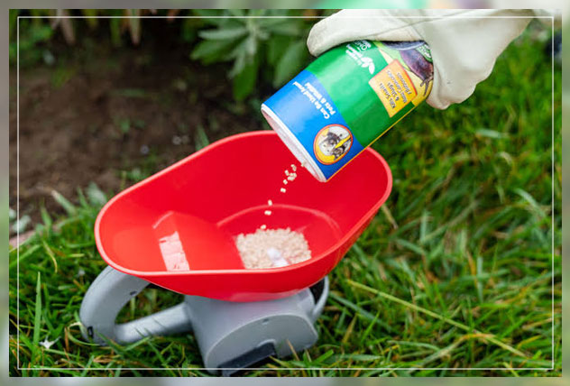 slugs and snails control