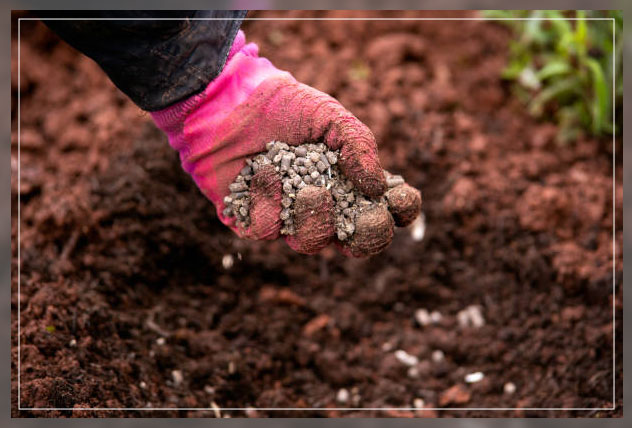 adding nutrients to plants 