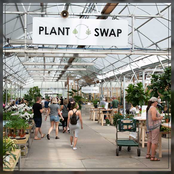 plant swap in flea markets