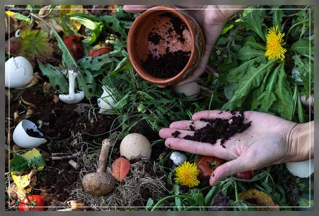 getting ample results