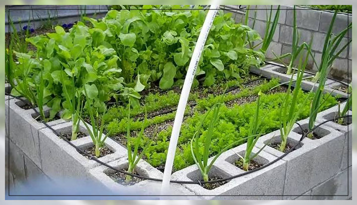 concrete blocks for garden beds