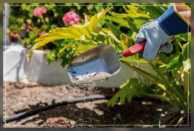 soil testing