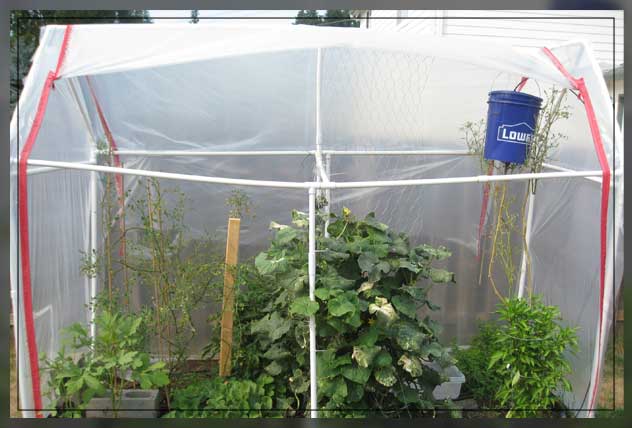 the practical implementation of microclimates 