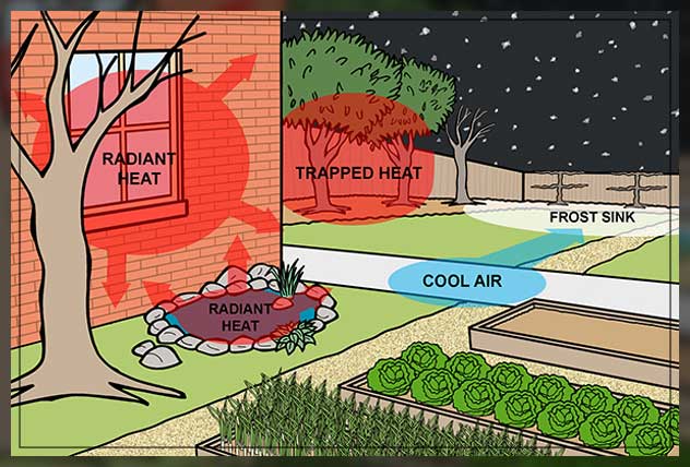 direction matters in microclimate 