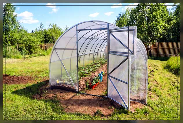 greenhouse building reasons