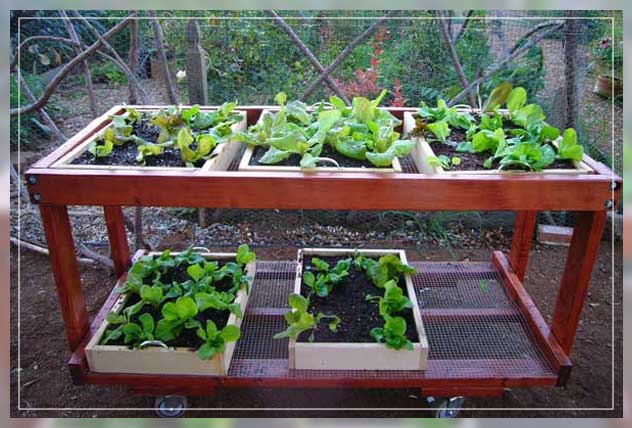 why choose salad tables?