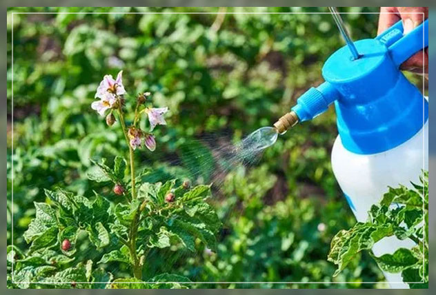 understanding organic pest control
