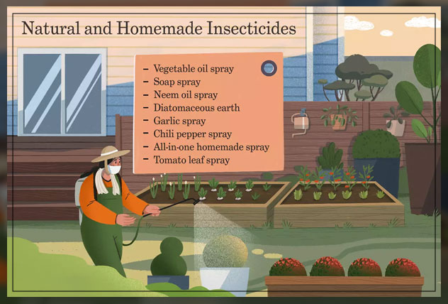 understanding how pests are handled