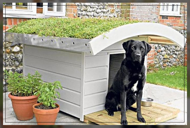 how canines can be welcomed in gardens