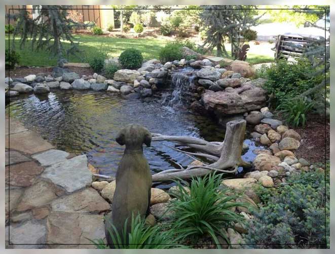 a garden for pets and humans