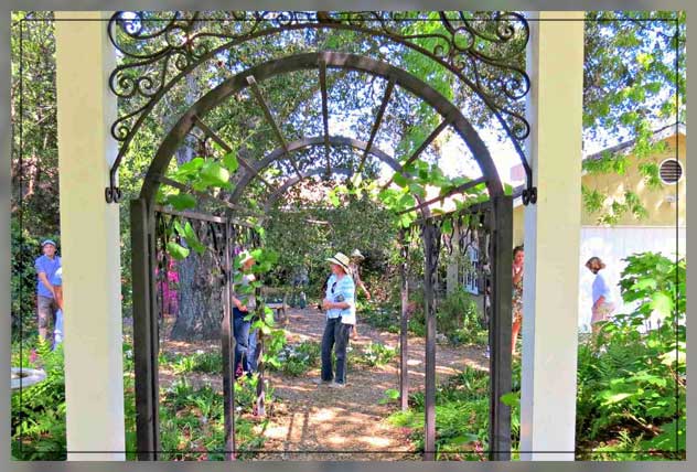 garden tours for cheap plants