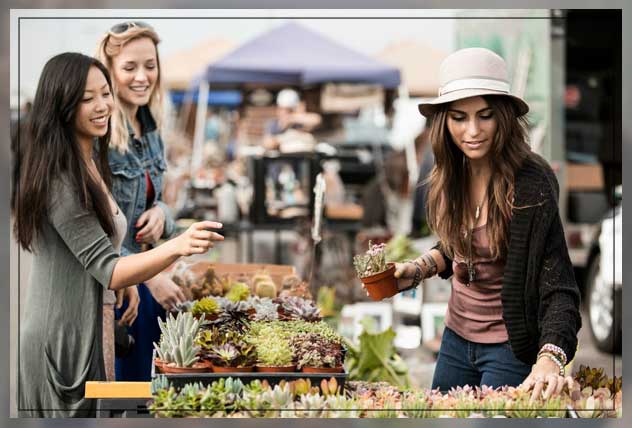 using leave cuttings