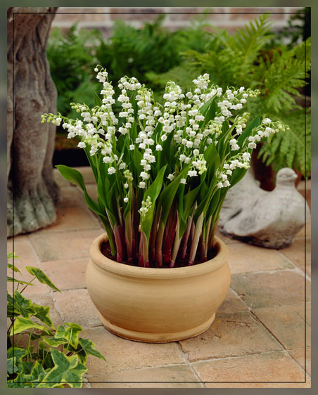 looking at manageable heights 