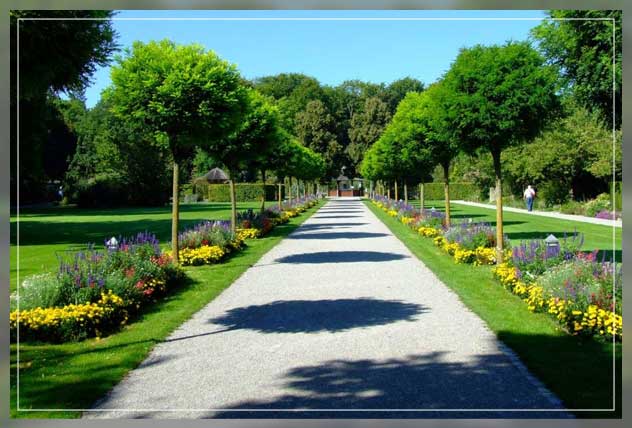 soft landscape works excess