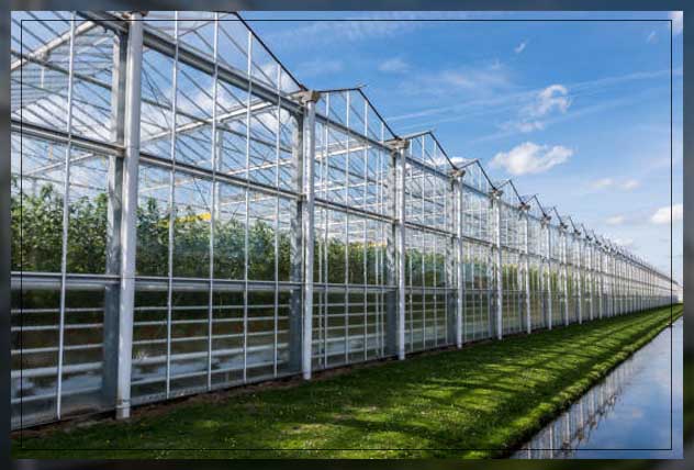 Greenhouse irrigation 5