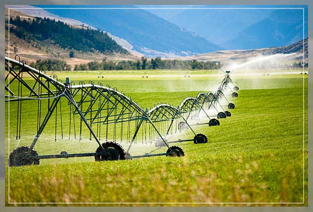 Water irrigation 4