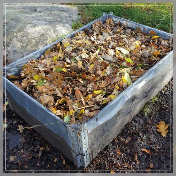 making leaf mold