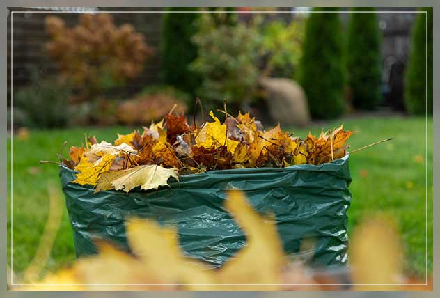 autumn leaves advantages