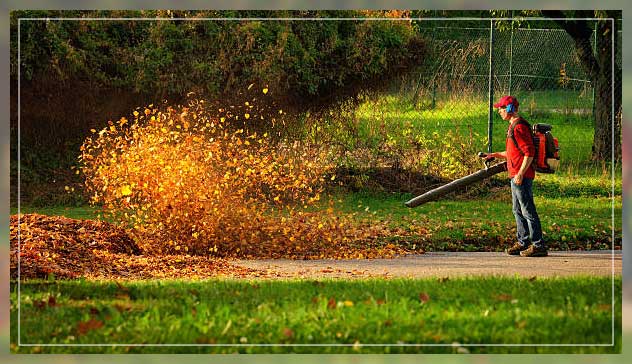 fall garden cleanup use of autumn leaves