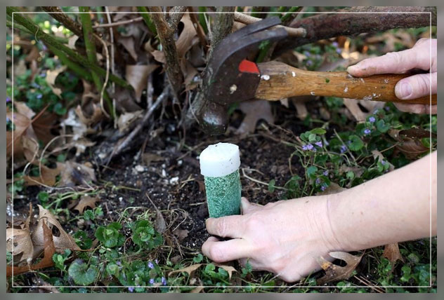 getting the magic to happen