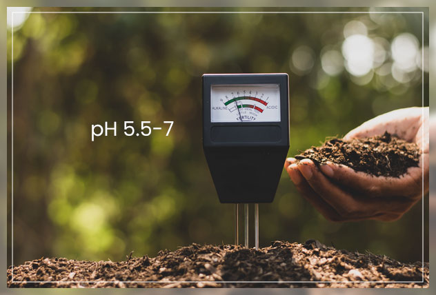 use organic fertilizers 