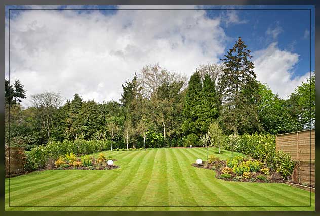 dark and green stripes in garden