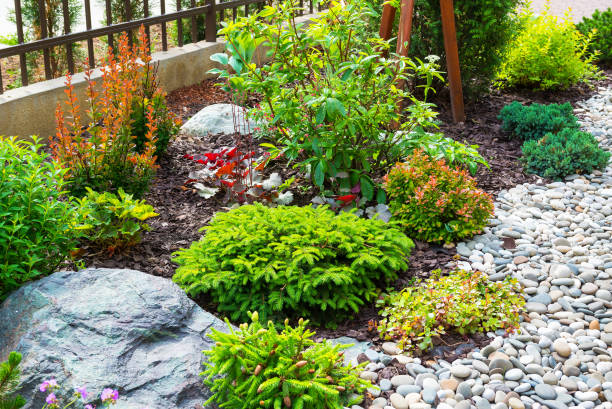 landscaping rocks in garden